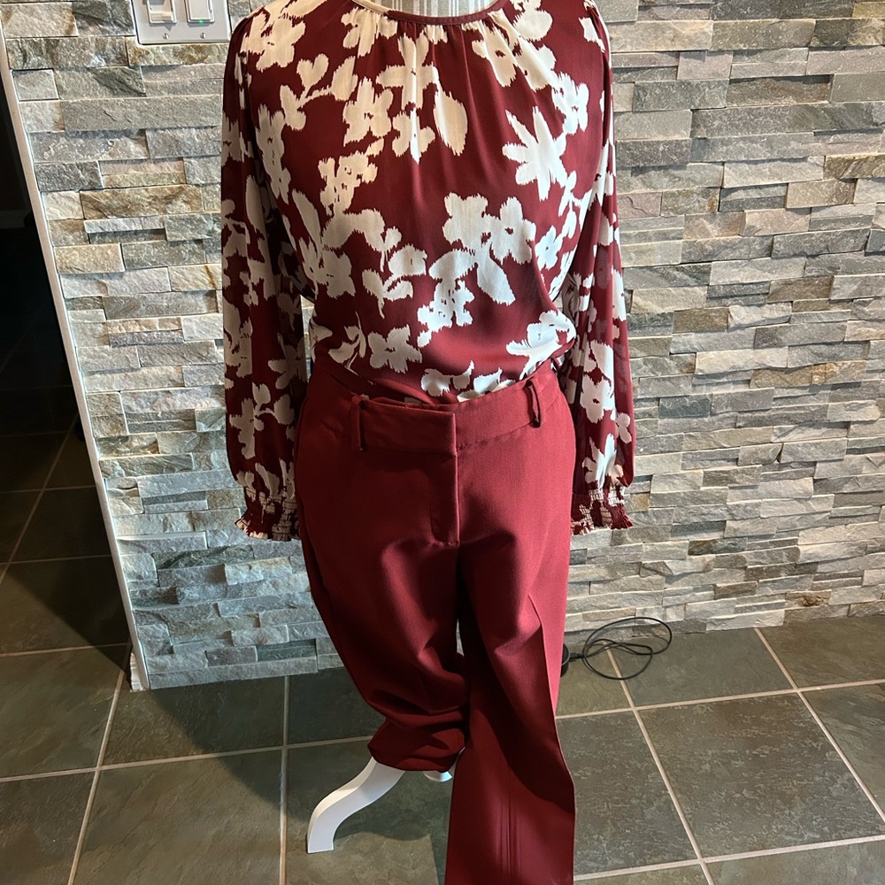 Ann Taylor Factory pants and top.